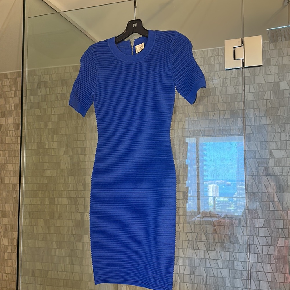 Ronny kobo dress